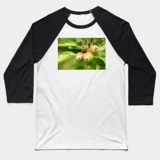 Unripe apples Baseball T-Shirt